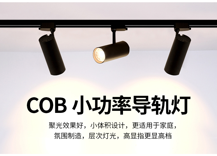 来得益导轨灯1