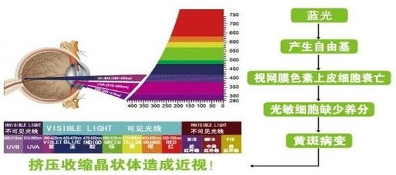 眼球发生病变造成近视