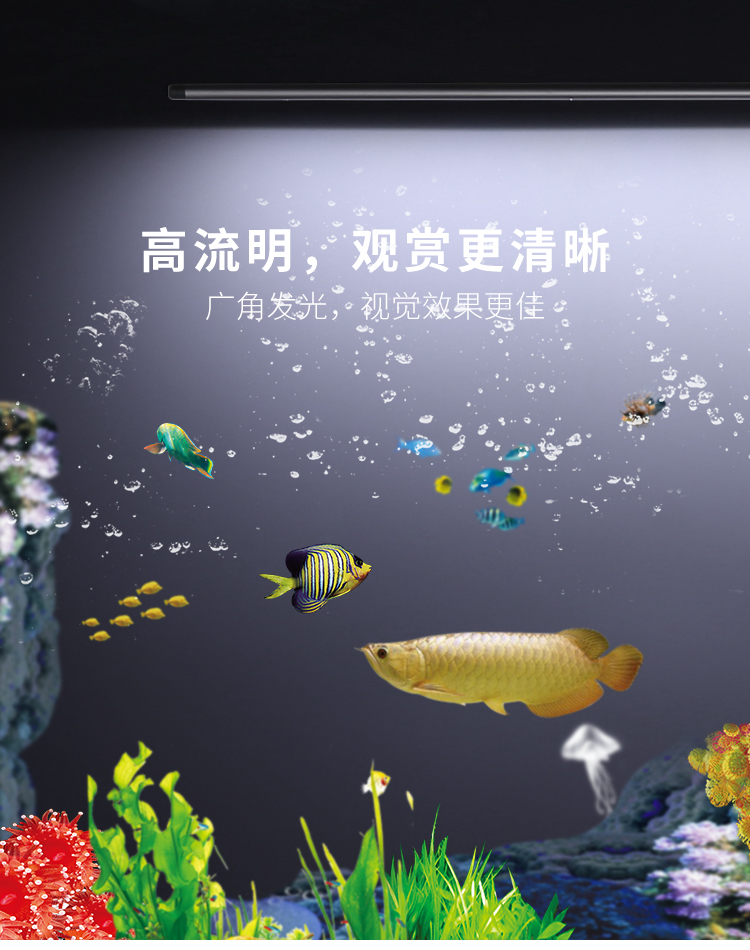 水族灯