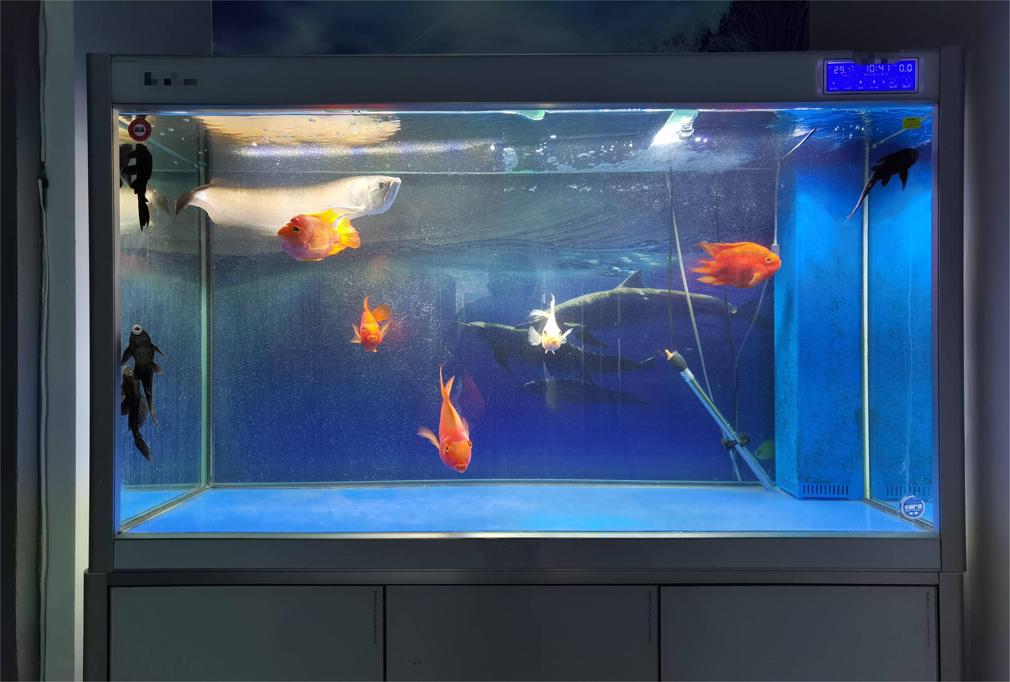 水族灯
