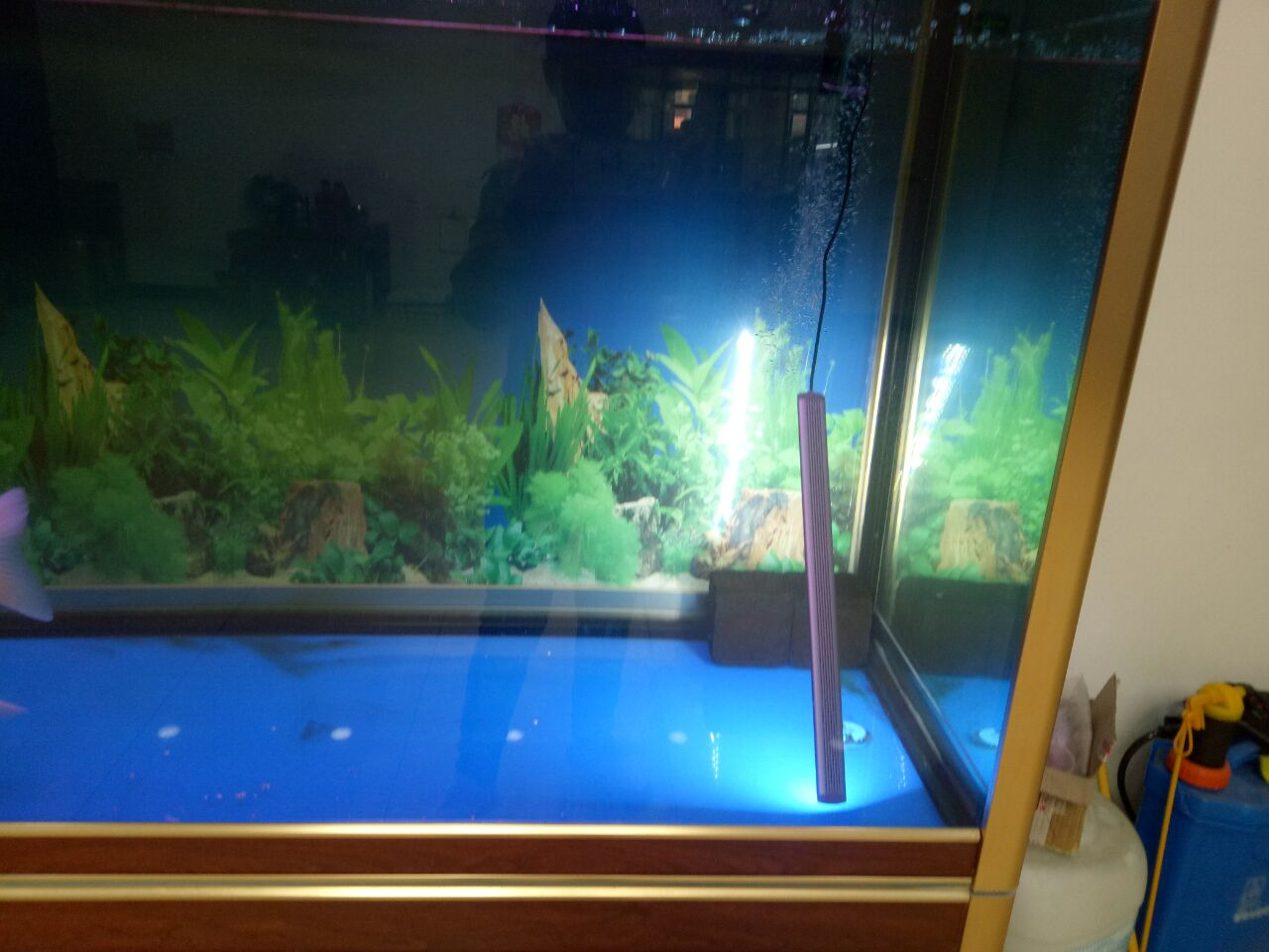 水族灯