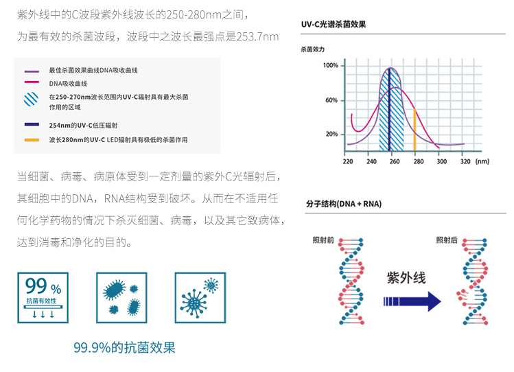 紫外线的杀菌消毒原理