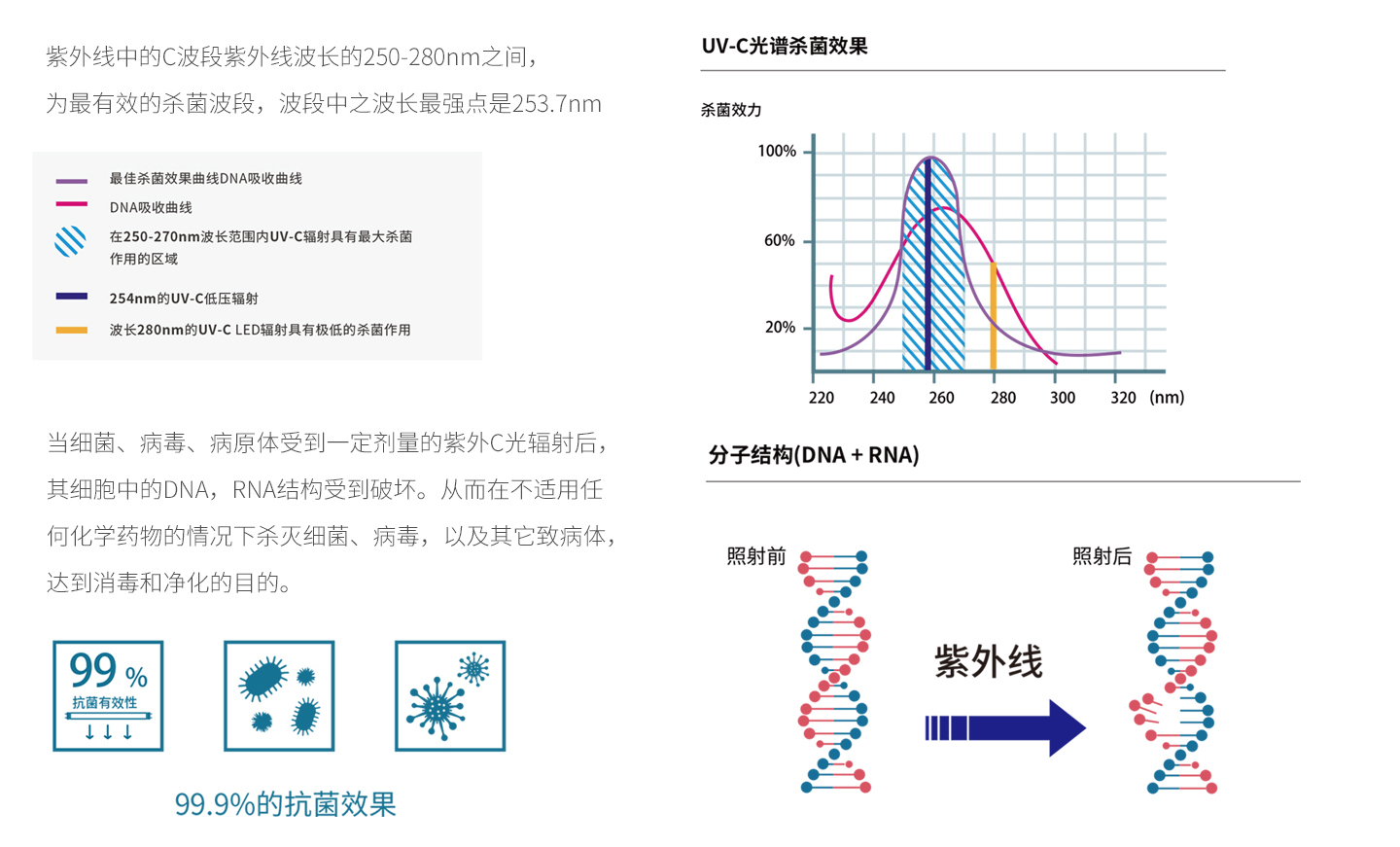 紫外线的杀菌消毒原理